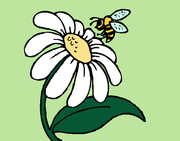 Dibujo Margarita con abeja pintado por charito