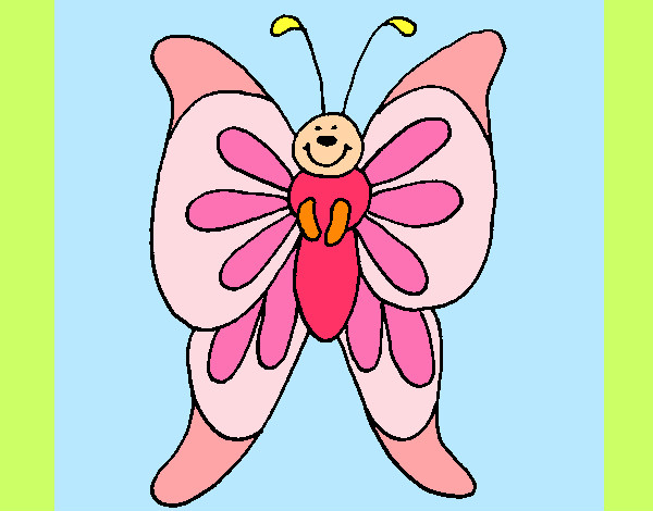 Mariposa 15