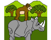 Dibujo Rinoceronte y mono pintado por paola2