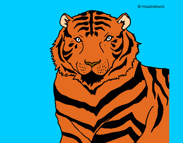 Dibujo Tigre 3 pintado por rebecalis