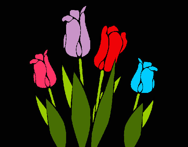 Tulipanes