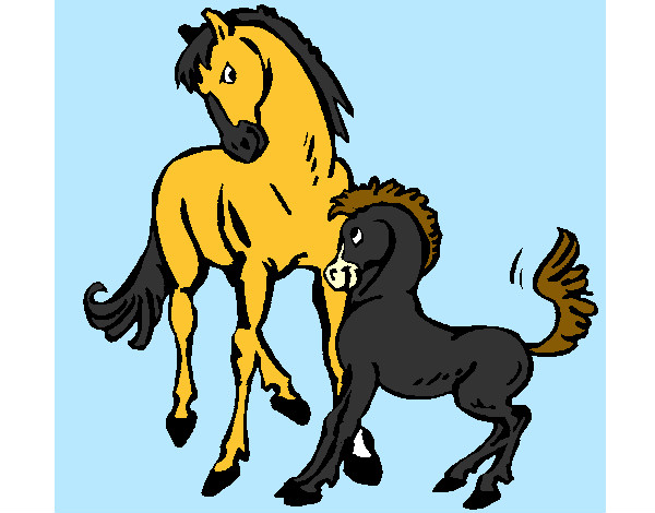 Caballos