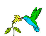 Dibujo Colibrí y una flor pintado por perlit