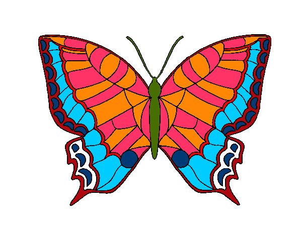 Mariposa 16