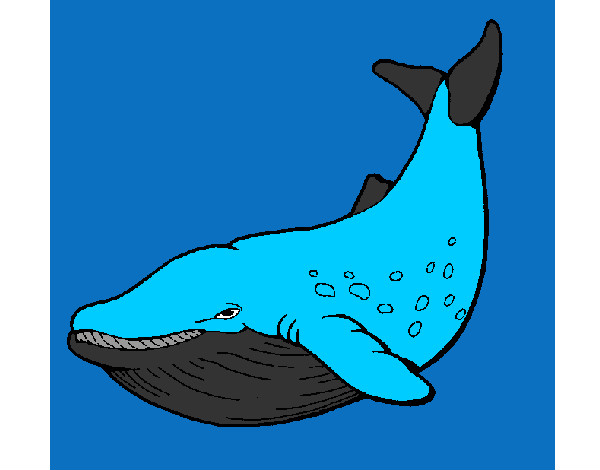 Dibujo Orca pintado por AndresO