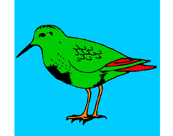 Dibujo Pájaro pintado por AndresO