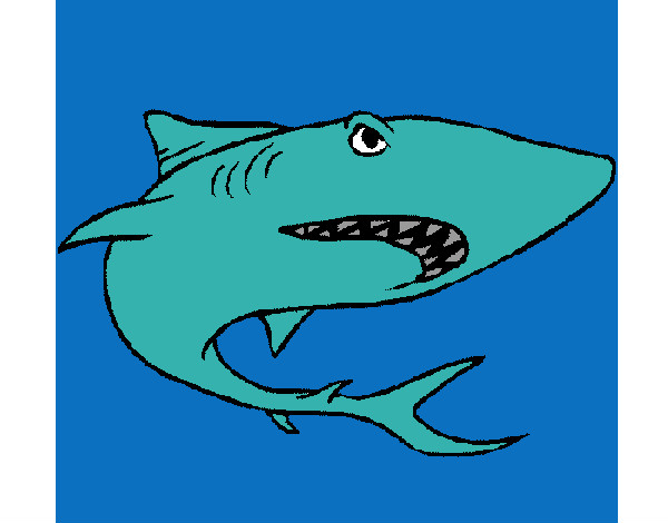 Dibujo Tiburón pintado por AndresO