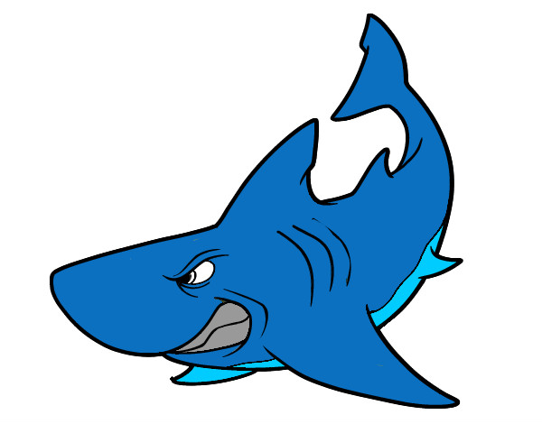 Dibujo Tiburón enfadado pintado por AndresO