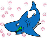 Dibujo Tiburón enfadado pintado por samuel2233