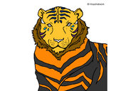 Dibujo Tigre 3 pintado por xtrem