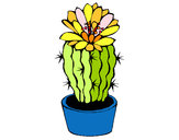 Dibujo Cactus con flor pintado por Opuntia
