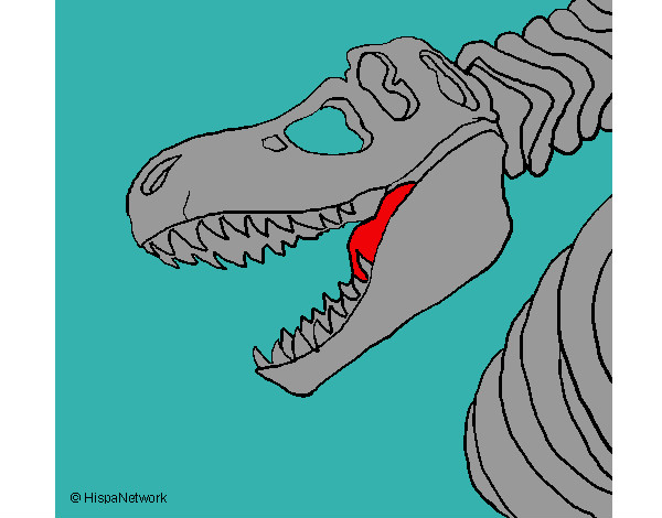 Dibujo Esqueleto tiranosaurio rex pintado por AndresO
