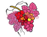 Dibujo Racimo de uvas pintado por victoria07