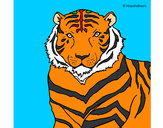 Dibujo Tigre 3 pintado por Luty