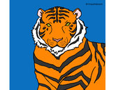 Dibujo Tigre 3 pintado por sancc2000