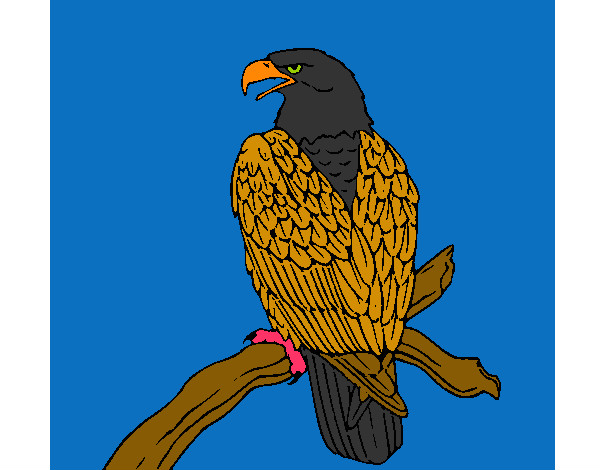 Dibujo Águila en una rama pintado por AndresO