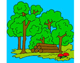 Dibujo Bosque 2 pintado por cazadora