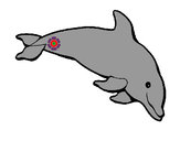 Dibujo Delfín contento pintado por RGuadalupe