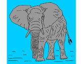 Dibujo Elefante 1 pintado por AndresO