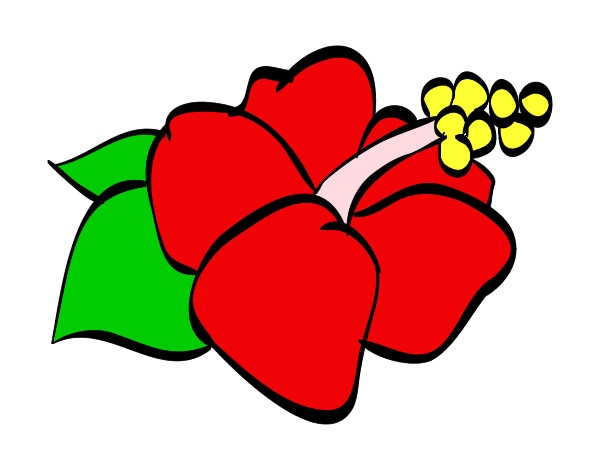Dibujo Flor de lagunaria pintado por lucia-