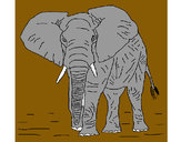 Dibujo Elefante 1 pintado por LEOPUELL