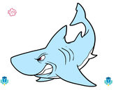 Dibujo Tiburón enfadado pintado por ENPERADOR9