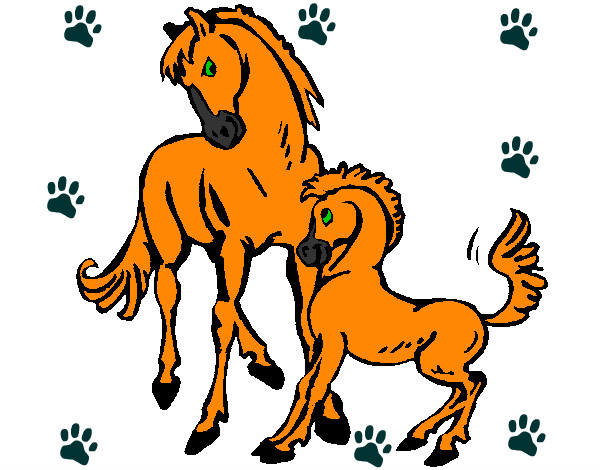 Caballos