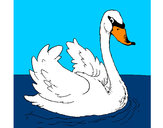 Dibujo Cisne en el agua pintado por AndresO