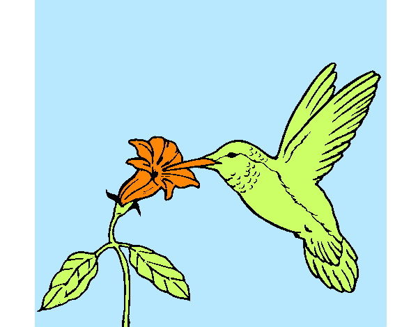 Dibujo Colibrí y una flor pintado por Mariano1