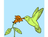 Dibujo Colibrí y una flor pintado por Mariano1