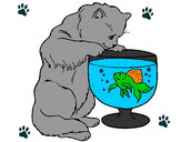 Dibujo Gato mirando al pez pintado por patyyy
