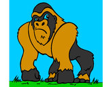 Dibujo Gorila 1 pintado por AndresO