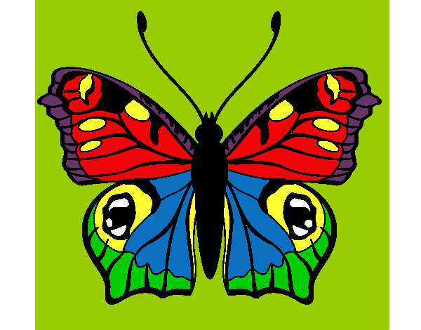 Dibujo Mariposa 20 pintado por biaani9