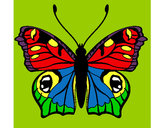 Dibujo Mariposa 20 pintado por biaani9