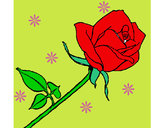 Dibujo Rosa pintado por yeyo12