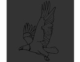 Dibujo Águila volando pintado por Nolan