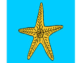Dibujo Estrella de mar pintado por Danielit0
