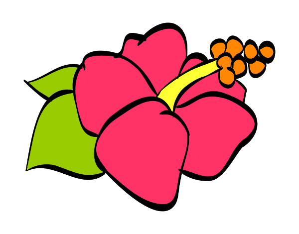 Dibujo Flor de lagunaria pintado por didiercini