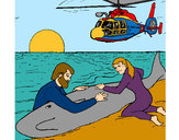 Dibujo Rescate ballena pintado por CFV2000