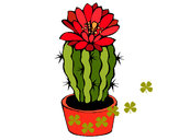 Dibujo Cactus con flor pintado por rocalas