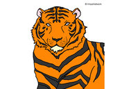 Dibujo Tigre 3 pintado por biti