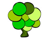 Dibujo Árbol con hojas redondas pintado por ifont