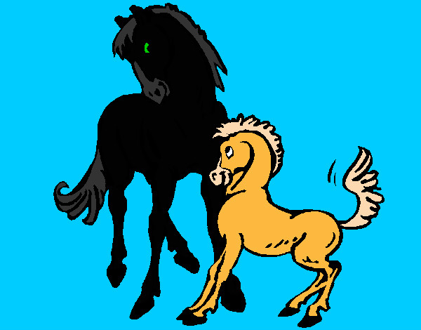 Caballos