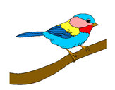 Dibujo Pájarito 1 pintado por pintora12