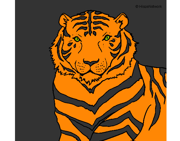 Dibujo Tigre 3 pintado por AndresO