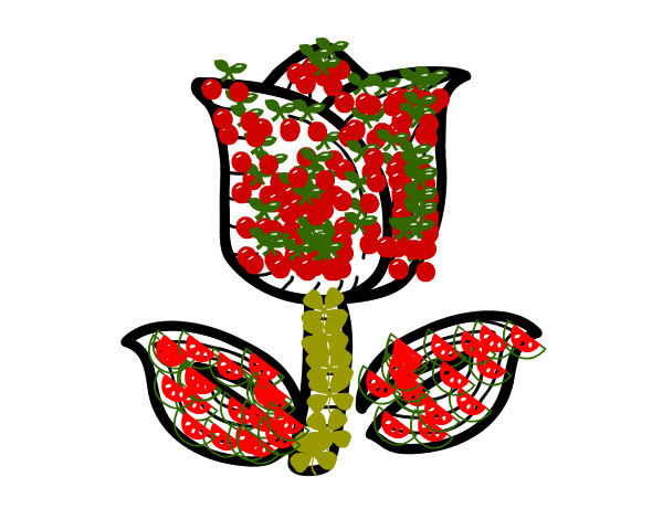 Tulipán