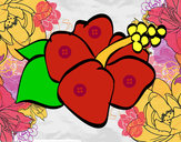 Dibujo Flor de lagunaria pintado por adricasa
