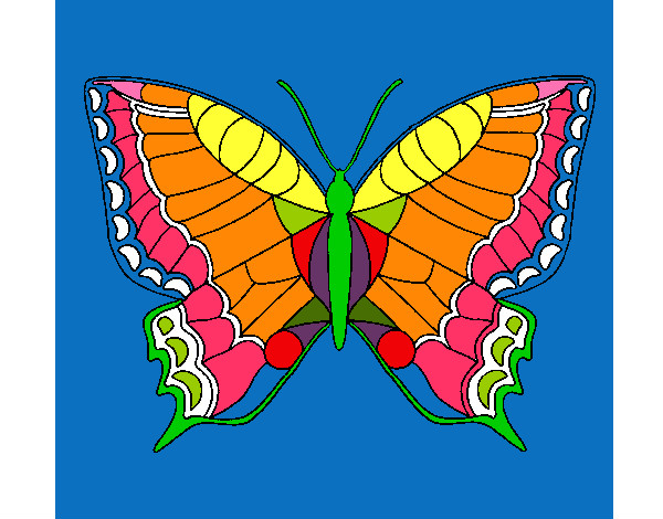 Mariposa 16