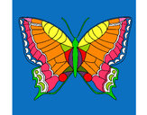 Dibujo Mariposa 16 pintado por aletvida