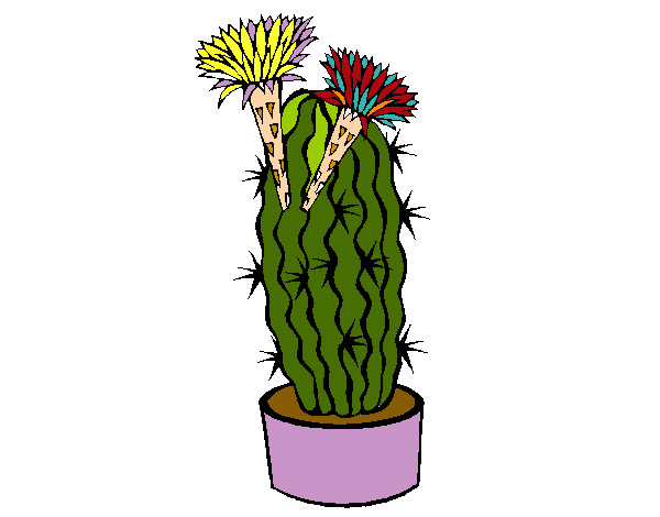 Dibujo Cactus con flores pintado por nansydiaz